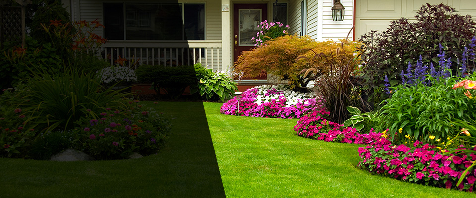 Edenton Landscapers