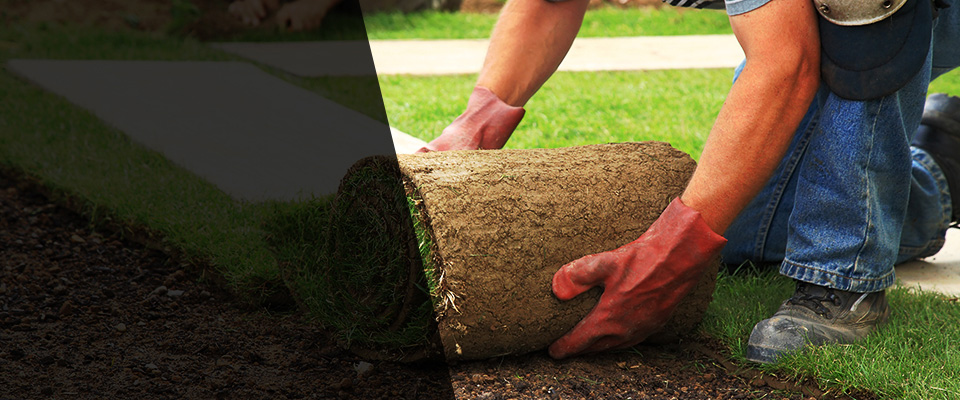 Edenton Landscapers
